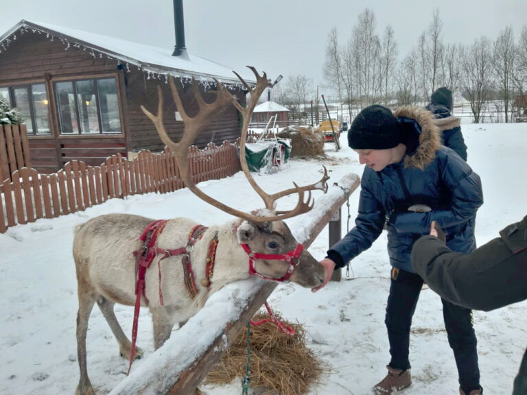 На оленях — в Новый год!